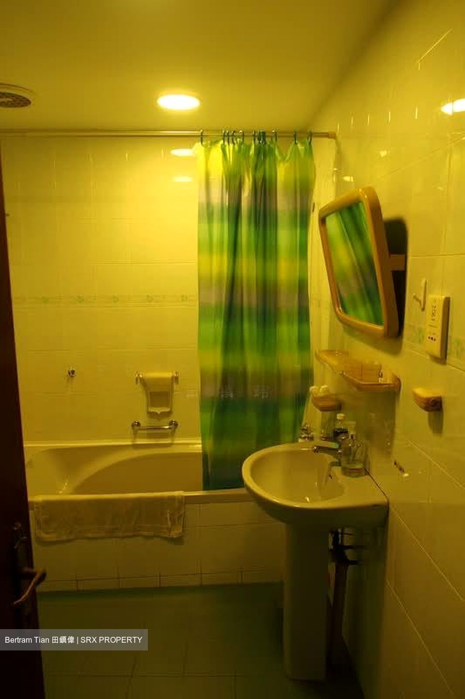 Cairnhill Plaza (D9), Apartment #553310831